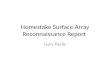 Homestake  Surface Array Reconnaissance Report