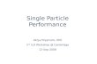 Single Particle Performance