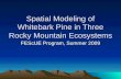 Spatial Modeling of Whitebark Pine in Three Rocky Mountain Ecosystems