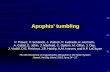 Apophis’ tumbling