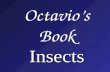 Octavio’s Book Insects