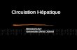 Circulation Hépatique