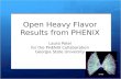 Open Heavy Flavor Results from PHENIX