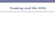 Naming and the DNS