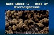 Note Sheet 17 – Uses of Microorganisms