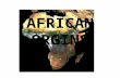 AFRICAN ORGINS