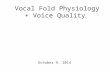 Respiration +  Vocal Fold Physiology