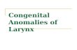 Congenital Anomalies of Larynx
