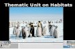 Thematic Unit on Habitats