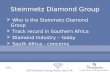 Steinmetz Diamond Group