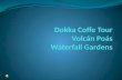 Dokka Coffe  Tour Volcán  Poás Waterfall Gardens