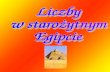 Liczby  w starożytnym  Egipcie