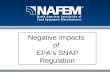 Negative Impacts  of  EPA’s SNAP Regulation