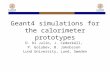 Geant4 simulations for the calorimeter prototypes