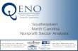 Southeastern  North Carolina Nonprofit Sector Analysis
