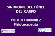 SINDROME DEL TÚNEL  DEL  CARPO  YULIETH RAMIREZ  Fisioterapeuta