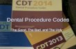 Dental Procedure Codes