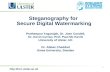 Steganography for  Secure Digital Watermarking
