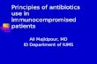 Principles of antibiotics use in immunocompromised patients
