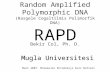 Random Amplified Polymorphic DNA (Rasgele Cogaltilmis Polimorfik DNA) RAPD