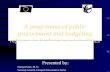 A programme of public procurement and budgeting reforms in Serbian municipalities 2001-2004