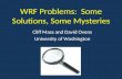 WRF Problems:  Some Solutions, Some Mysteries