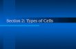 Section 2: Types of Cells