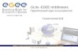 GLite -EGEE middleware.  Практический курс пользователя