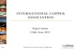 INTERNATIONAL COPPER ASSOCIATION