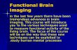 Functional Brain Imaging