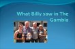 What Billy saw in The Gambia
