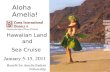 Hawaiian Land              and        Sea Cruise   January 5-15, 2011