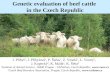 Genetic evaluation of beef cattle  in the Czech Republic