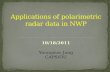 Applications of polarimetric radar data in NWP