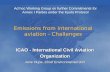 Emissions from international aviation - Challenges