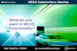 What do you want in MDSS Functionality?