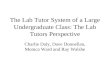 The Lab Tutor System of a Large Undergraduate Class: The Lab Tutors Perspective