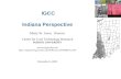 IGCC Indiana Perspective Marty W. Irwin,  Director Center for Coal Technology Research