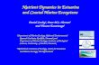 Nutrient Dynamics in Estuarine  and Coastal Marine Ecosystems
