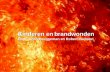 Kinderen en brandwonden Door: Chris Bruggeman en Robert Verboon