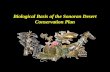 Biological Basis of the Sonoran Desert Conservation Plan