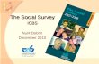 The Social Survey ICBS Nurit Dobrin December 2010