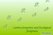 Carbon footprints and Ecological footprints