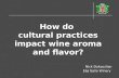 How do   cultural practices  impact wine aroma  and flavor?