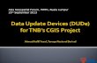 Data Update Devices ( DUDe ) for TNB’s CGIS Project Ahmad Hafifi Yusof,  Tenaga Nasional Berhad