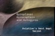 Gyroplanes Gyrocopters and Autogyros