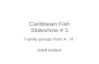 Caribbean Fish Slideshow # 1