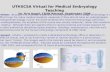 UTHSCSA Virtual for Medical Embryology Teaching Dr. Kris Vogel, C&SB Retreat, September 2006