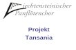 Projekt Tansania
