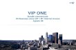 VIP ONE  Bundle commerciale  Bt Business voice VIP + BT Internet Access Agosto 08